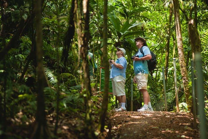 Hanging Bridges Adventure San Luis: Canopy Walk & Wildlife from San José photo 2