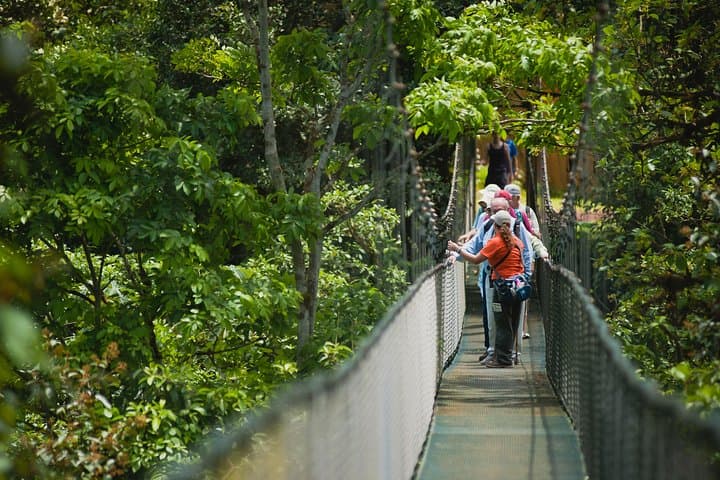Hanging Bridges Adventure San Luis: Canopy Walk & Wildlife from San José photo 3
