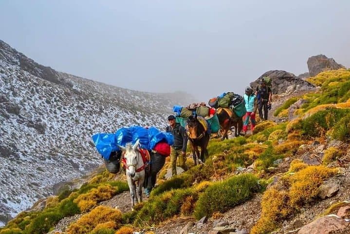 4-Day High Atlas Trek: Imlil to Ait Mizan Through Azzaden Valley photo 1