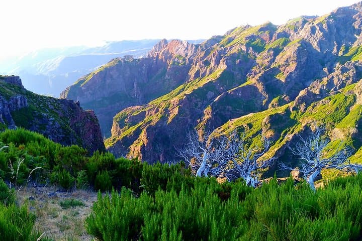 Madeira Top Sunrise: Hike Pico Ruivo for a Mountaintop Dawn photo 6
