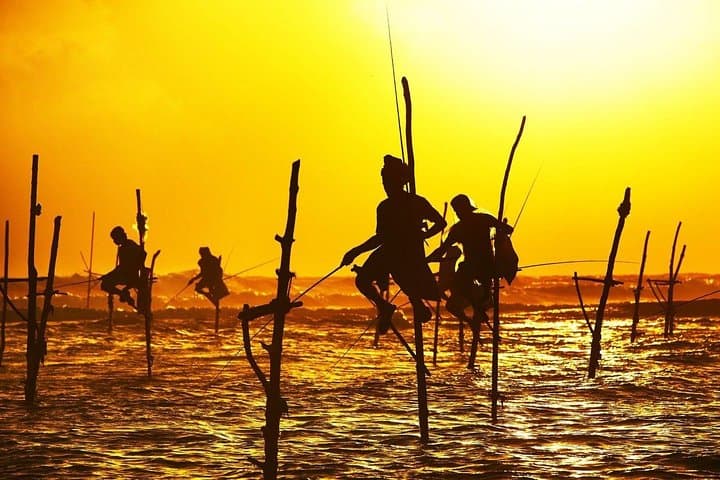 8-Day Sri Lanka Heritage Private Tour: Sigiriya to Galle — Culture, Tea Country & Wildlife
