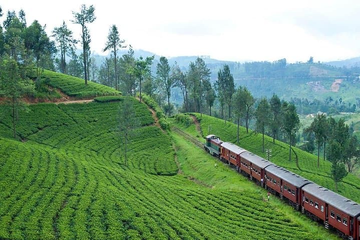 Ella to Horton Plains: Scenic Train, Plateau Hike & World's End Day Trip photo 2