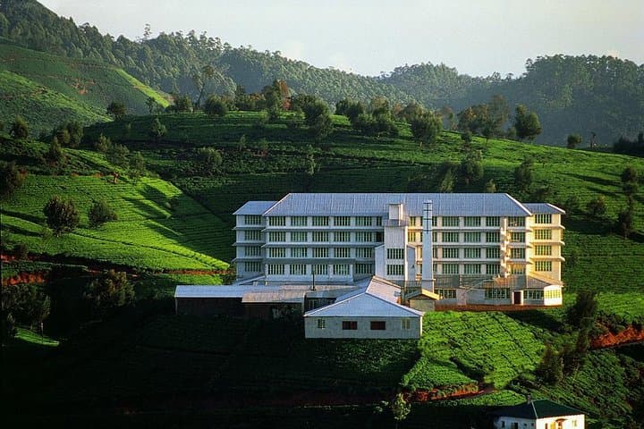 6-Day Round Tour of Sri Lanka with Private Chauffeur photo 3