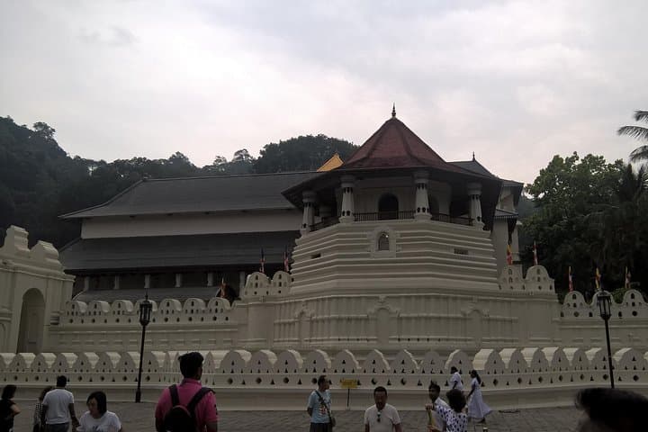 Sri Lanka 5-Day Private Cultural & Wildlife Tour from Colombo photo 4