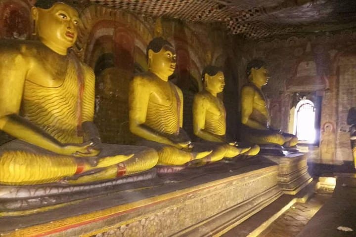 5-Day Private Tour Sri Lanka: Sigiriya, Kandy, Tea Country, Wildlife & Whale Watching