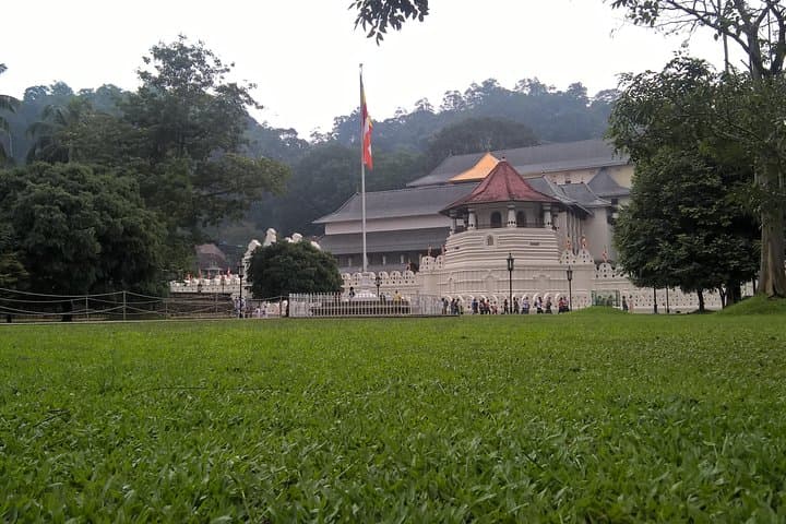 5-Day Private Tour Sri Lanka: Sigiriya, Kandy, Tea Country, Wildlife & Whale Watching photo 2