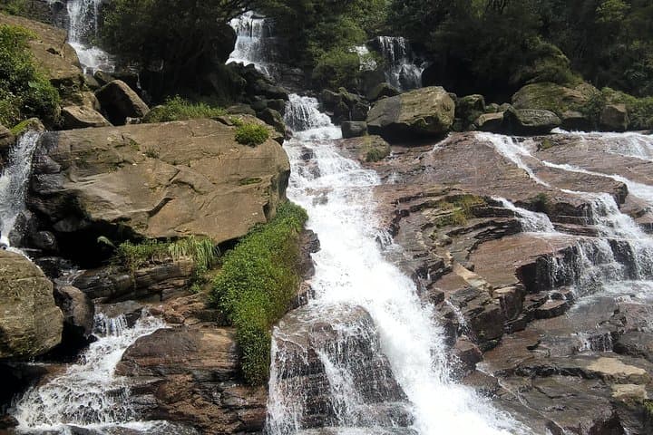 5-Day Private Tour Sri Lanka: Sigiriya, Kandy, Tea Country, Wildlife & Whale Watching photo 4