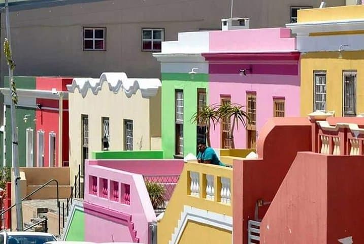 Cape Peninsula Penguin & Coastal Highlights Day Tour from Cape Town