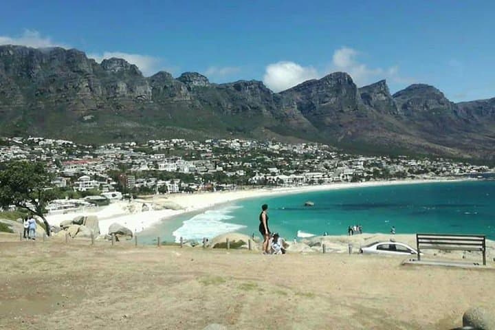 Cape Peninsula Penguin & Coastal Highlights Day Tour from Cape Town photo 2