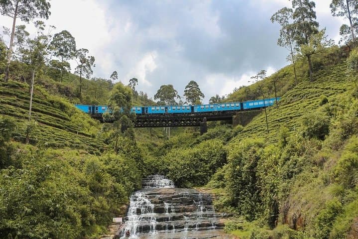 Ella to Horton Plains: Scenic Train, Plateau Hike & World's End Day Trip photo 3