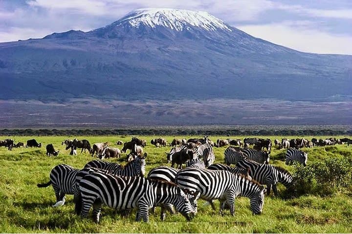 13-Day Masai Mara & Serengeti Safari — Big Five, Migration & Ngorongoro Crater photo 5