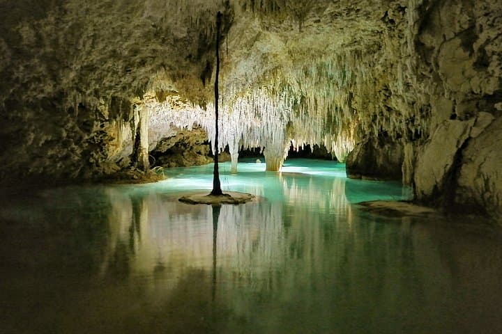Hidden Cenote Exploration in Playa del Carmen: Guided Cave & Snorkel Tour