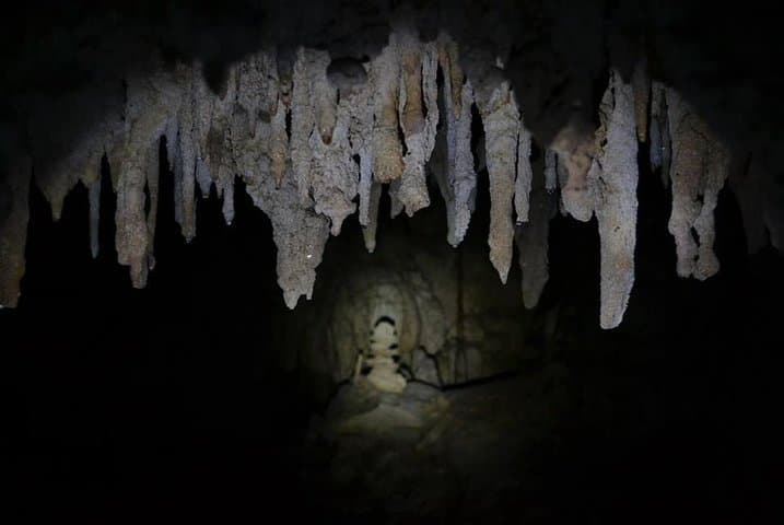 Hidden Cenote Exploration in Playa del Carmen: Guided Cave & Snorkel Tour photo 5