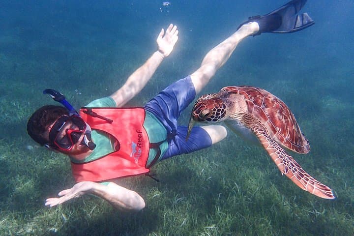 Antigua Reef Exploration: Snorkel Cades Bay, Stingrays and Power Snorkel Options photo 3