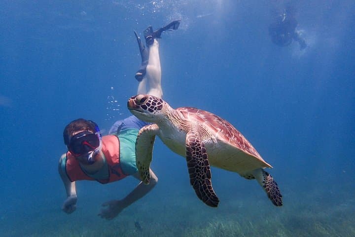Antigua Reef Exploration: Snorkel Cades Bay, Stingrays and Power Snorkel Options photo 4