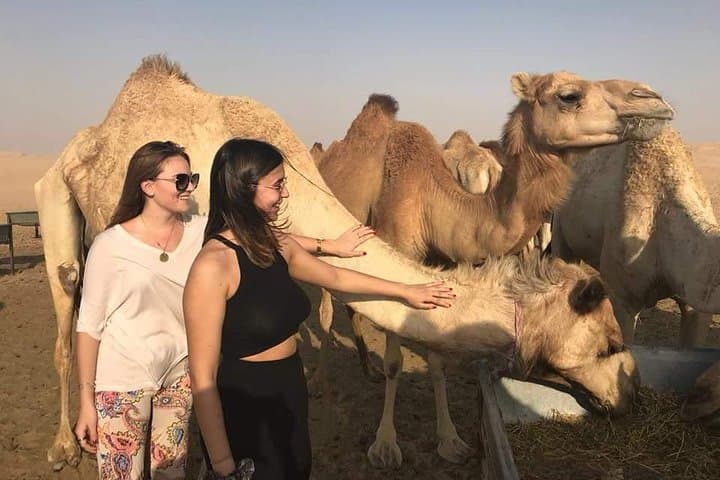 Morning Abu Dhabi Desert Safari: Dune Bashing, Camel Rides & Sand Skiing photo 3