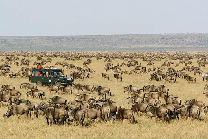 7-Day Kenya Extreme Safari: Amboseli, Lake Naivasha & Maasai Mara Wildlife Adventure photo 6