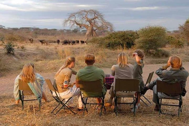 16-Day Kenya Tanzania Uganda Safari — Gorilla Trekking, Mara & Serengeti Highlights photo 6