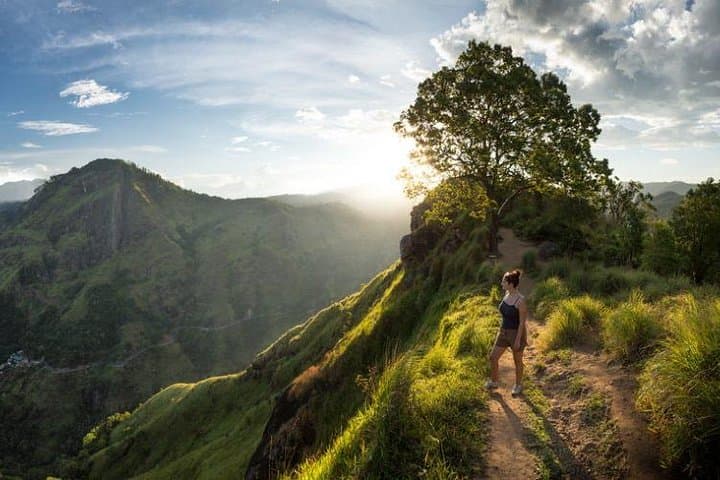 5-Day Round Tour from Mirissa: Tea Country, Kandy & Sigiriya Highlights photo 4