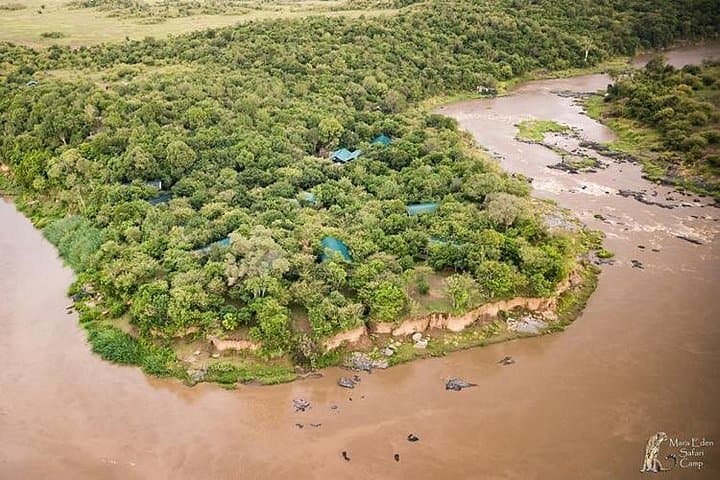 3-Day Masai Mara Budget Camping Safari: Wildebeest Migration & Big Five on a Budget photo 3