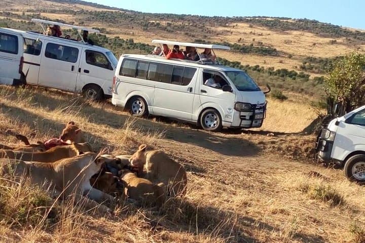 3-Day Masai Mara Budget Camping Safari: Wildebeest Migration & Big Five on a Budget photo 5