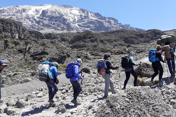 Climb Mount Kilimanjaro via the Umbwe Route: Guide to a Steep, Private Summit Bid photo 2