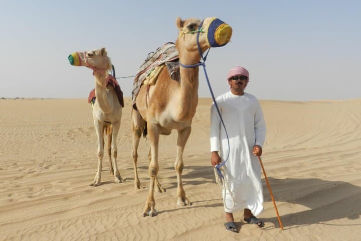 Dubai Desert Safari at Majlis Camp: Dune Bashing, Camel Rides & BBQ Sunset Experience photo 6