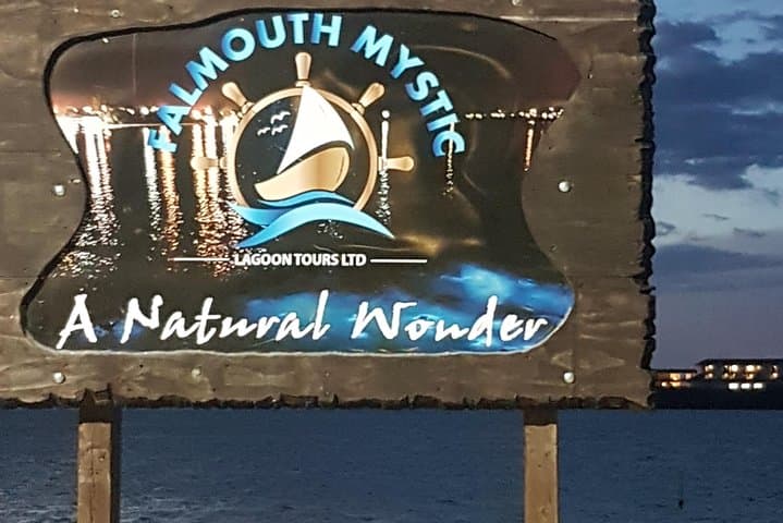 Dunn's River Falls, Blue Hole & Luminous Lagoon Day Trip from Montego Bay photo 6