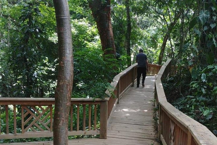 Copán Bird Park — Guacamaya Mountain Reserve near Copán Ruinas photo 3