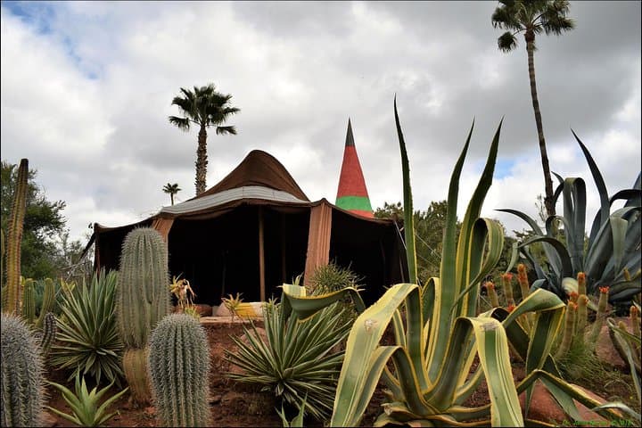 Valley & Garden Day Trip from Marrakech: Anima Garden & Atlas Foothills photo 4
