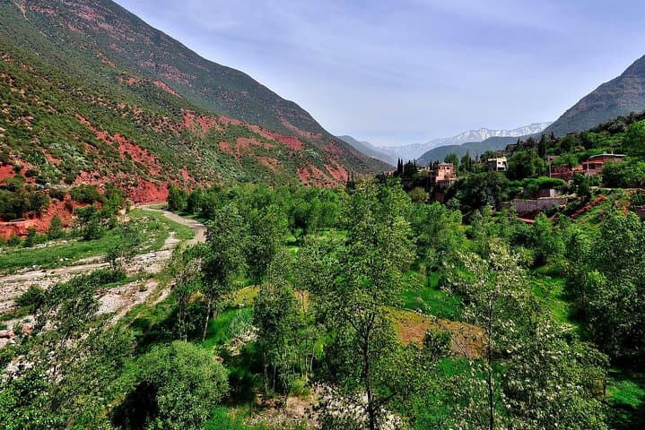 Valley & Garden Day Trip from Marrakech: Anima Garden & Atlas Foothills photo 6