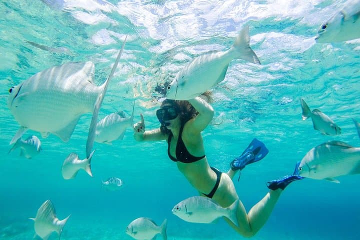 El Cielo Snorkel: Private Boat to Cozumel’s Reefs and Secluded White Sand photo 4