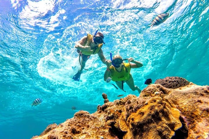 El Cielo Snorkel: Private Boat to Cozumel’s Reefs and Secluded White Sand photo 5