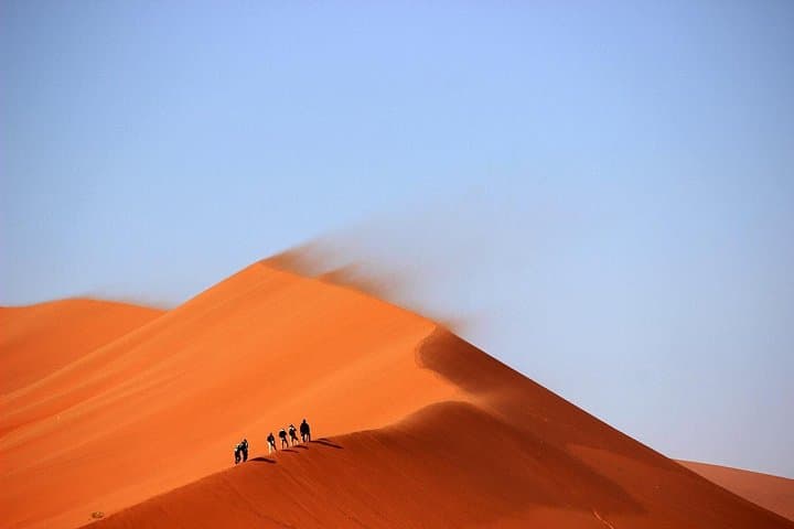 From Desert to Dubai: Half-Day Desert and City Transformation Tour photo 3