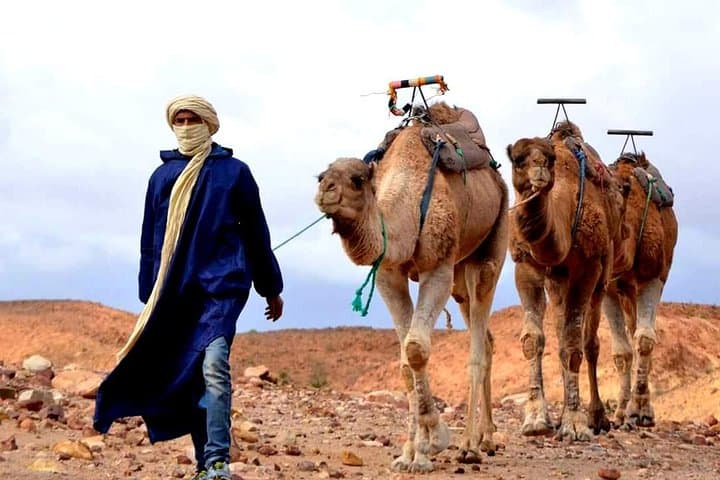 Sunset Camel Ride & Dinner in the Agafay Desert near Marrakech photo 3