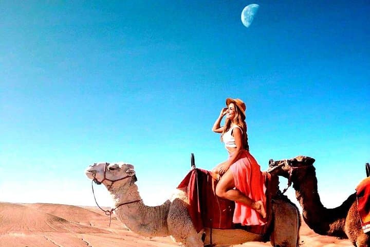 Sunset Camel Ride & Dinner in the Agafay Desert near Marrakech