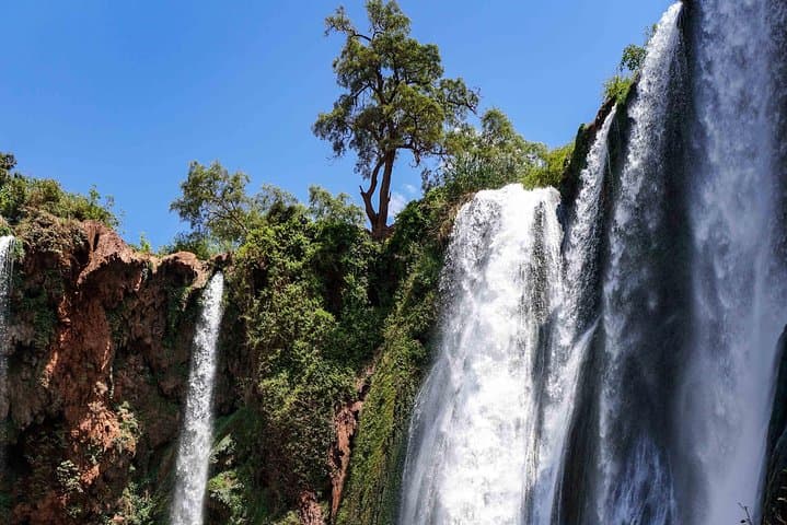 Private Day Trip to Ouzoud Falls from Marrakech — Walking Tour & Olive-Grove Views photo 5