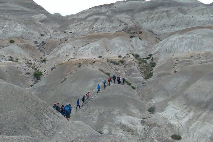 Exploring La Leona Petrified Forest: Day Excursion Between El Calafate and El Chaltén photo 2