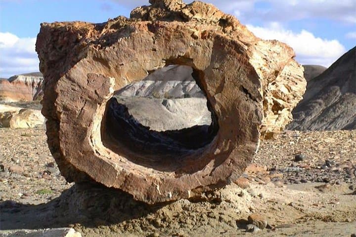 Exploring La Leona Petrified Forest: Day Excursion Between El Calafate and El Chaltén