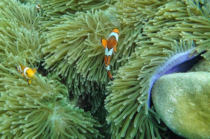 Lanta 4 Islands & Emerald Cave Snorkeling Adventure from Koh Lanta photo 5