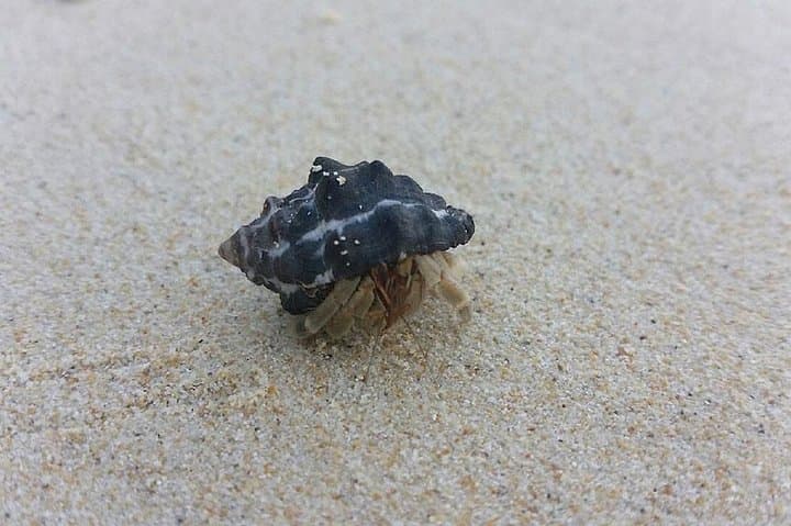 Lanta 4 Islands & Emerald Cave Snorkeling Adventure from Koh Lanta photo 6