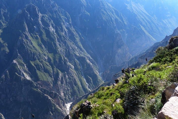 Full-Day Colca Canyon Tour from Arequipa: Condors, Hot Springs & Andean Views photo 2
