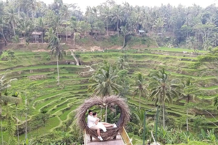 Ubud and Mount Batur Volcano Tour: Monkey Forest, Rice Terraces & Coffee Tasting photo 3