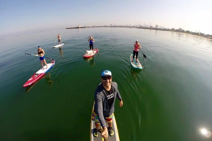 Stand Up Paddle Board Hire in St Kilda — SUP Rentals & Penguin Spotting photo 4