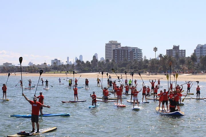 Stand Up Paddle Board Hire in St Kilda — SUP Rentals & Penguin Spotting photo 5