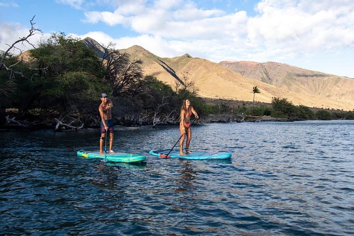 Stand Up Paddle Board Hire in St Kilda — SUP Rentals & Penguin Spotting photo 6