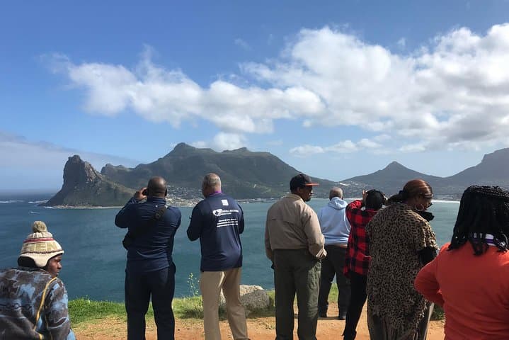 Cape Peninsula Day Tour: Penguins, Chapman's Peak & Cape Winelands