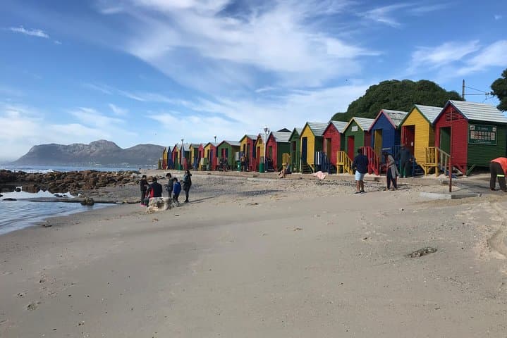 Cape Peninsula Day Tour: Penguins, Chapman's Peak & Cape Winelands photo 4