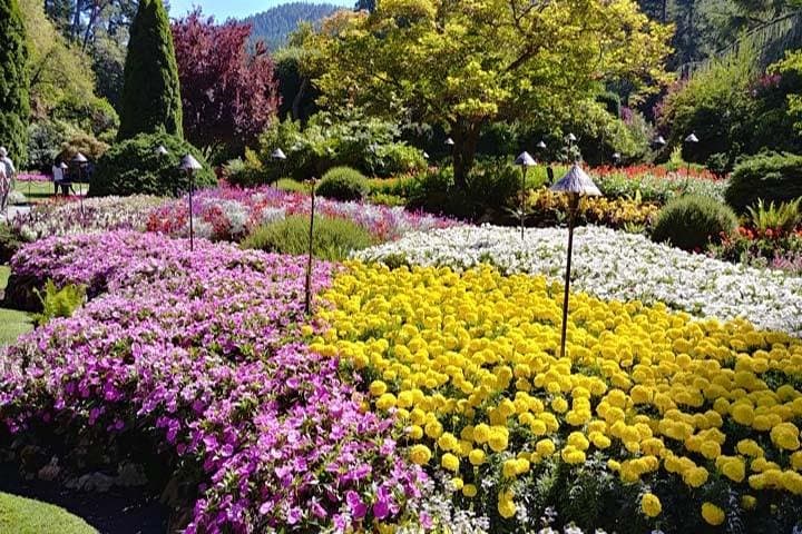Three-Day Vancouver, Victoria & Whistler Combo: Sea-to-Sky, Butchart Gardens & Capilano photo 3