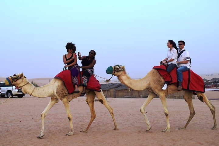 Sunset Dune Safari in Abu Dhabi: 4x4 Dune Bashing, Camel Ride & BBQ Camp Experience photo 4